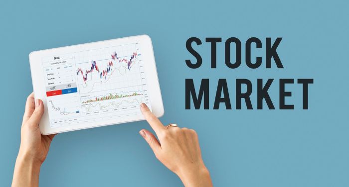 Beginner's Guide to Investing in the Stock Market
